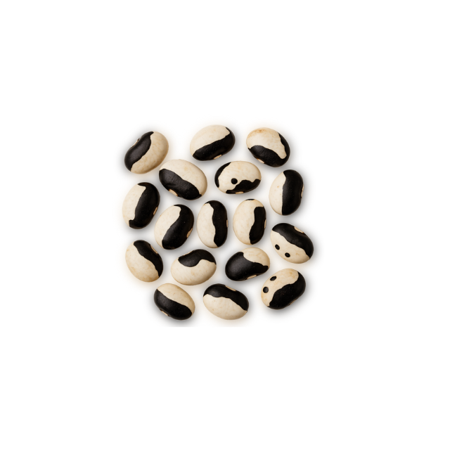 Legumes