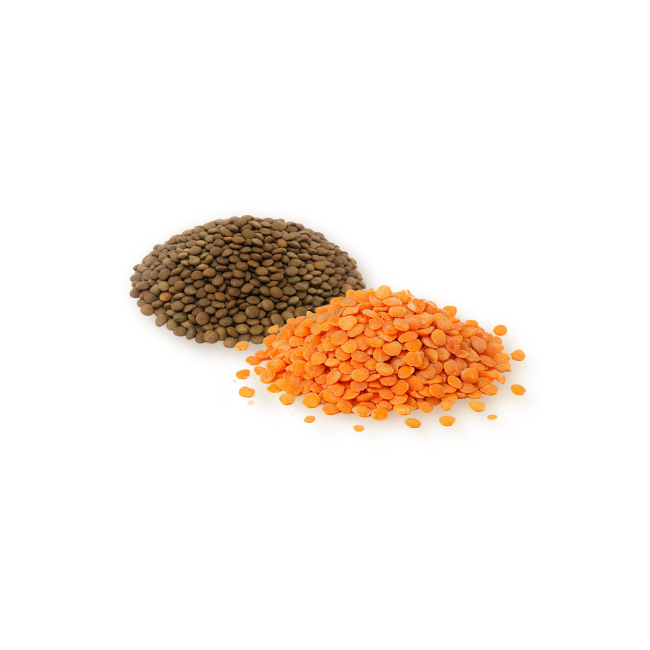 Lentils