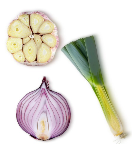 garlic, green onion, red onion