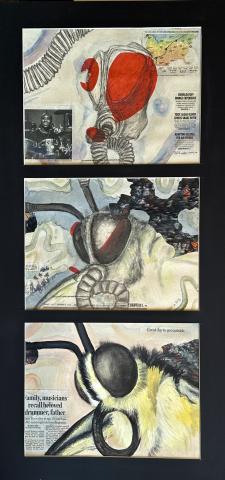 A vertical triptych artwork featuring three panels. The top panel shows a detailed anatomical drawing of a brain with red highlights and some text. The middle panel depicts a close-up of an insect's eye and head, with intricate details and textures. The bottom panel illustrates the head of a bee, focusing on its eyes and antennae