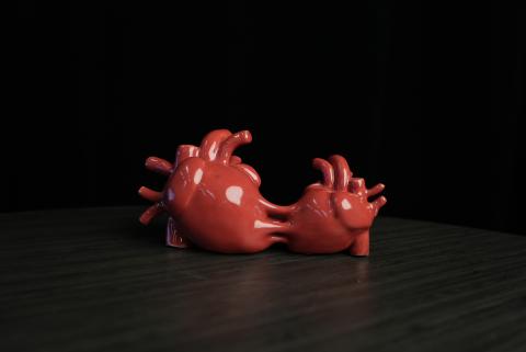 A glossy red ceramic sculpture resembling two interconnected anatomical hearts with multiple arteries and veins.
