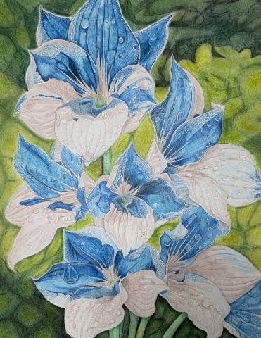 A detailed drawing of blue and white flowers with water droplets on the petals, set against a green leafy background.
