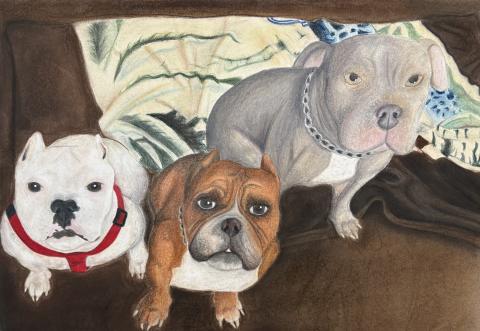 The image shows three dogs sitting closely together on a brown blanket. The dog on the left is white with a black nose and is wearing a red harness. The middle dog is brown with a white chest and has a sad expression.