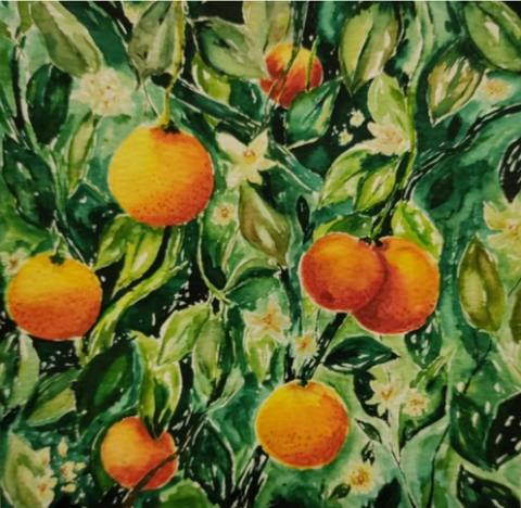 A watercolor painting of bright oranges on green vines