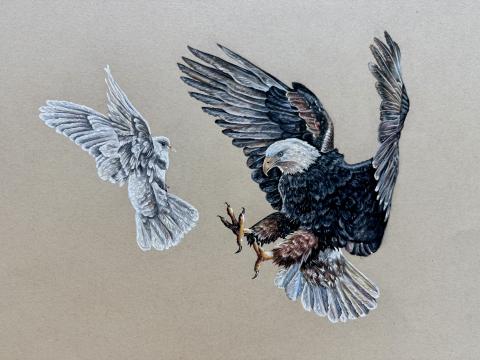 Colored pencil drawing of an eagle and a dove