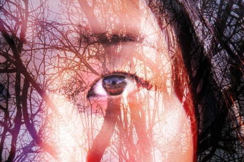 Double exposure of a closeup image of an eye blended with the branches of a tree.