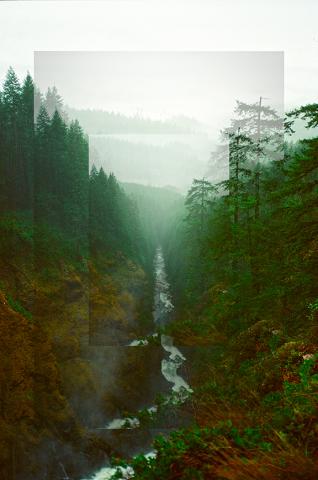 Misty forest landscape with a river flowing through a steep canyon, surrounded by dense evergreen trees. The image is layered with transparent duplicates, creating a repeated, dreamlike depth effect.