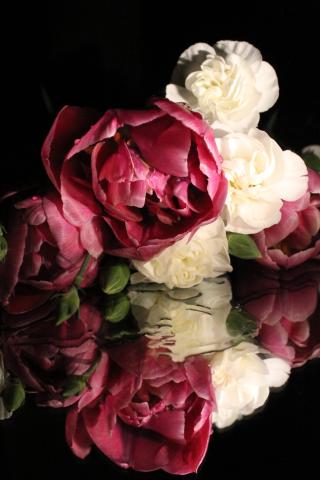 This photo shows flowers through a normal view, mirrored view, and a partial distorted view from the water. Giving us a reminder that there's never just one singular perspective on something.