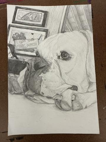 Keanu, the lovable happy dog that is stingy with love. The playful short haired dog is just a simple reminder of joy and happiness. This piece, named Keanu, is a drawing of my dog. My first fully original piece of art.