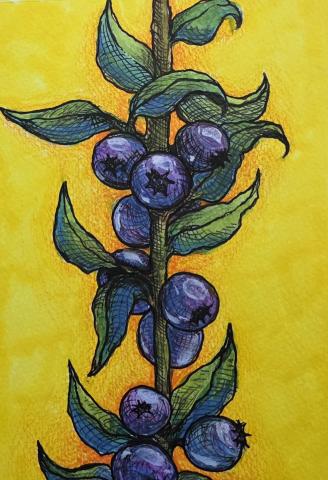 A mixed media piece featuring a branch of blueberries painted in shades of deep blue, purple, magenta, and various shades of green. finished with colored pencil and fine-line ink details, set against a vibrant yellow and orange background.