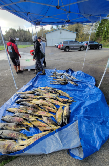 Image of a group of students and dead fish.