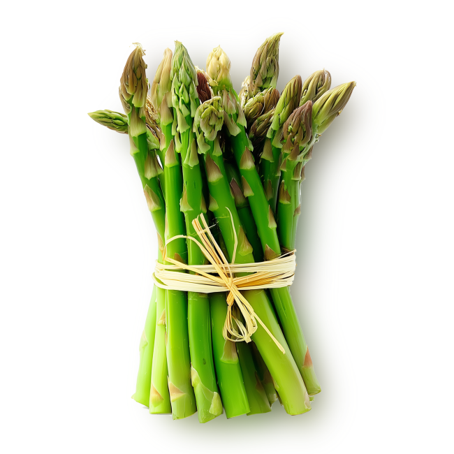 bunch of asparagus tied with twine
