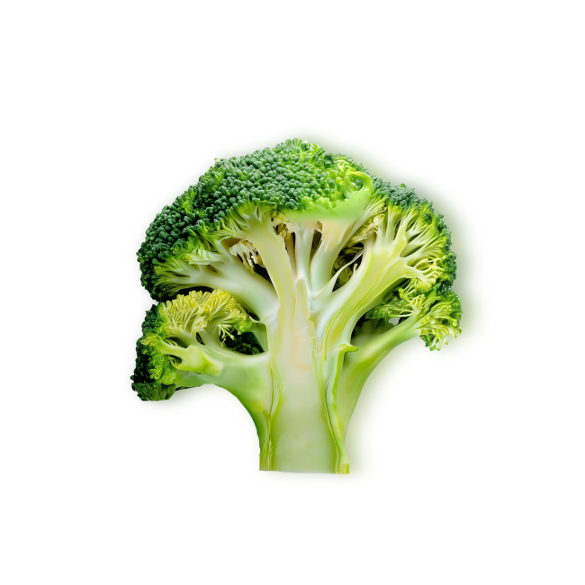 broccoli sliced in half lengthwise
