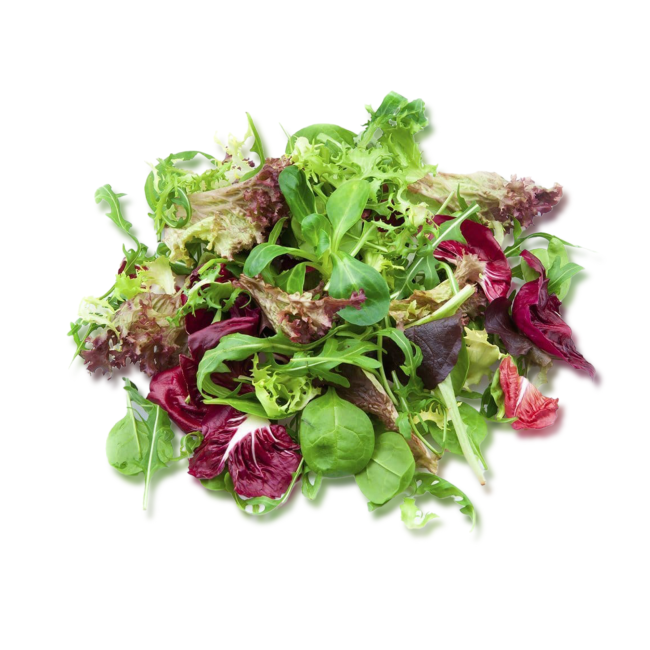 mixed greens including spinach and chard