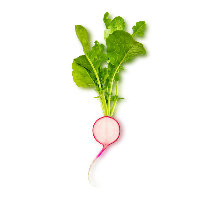 radish with greens sliced in half lengthwise