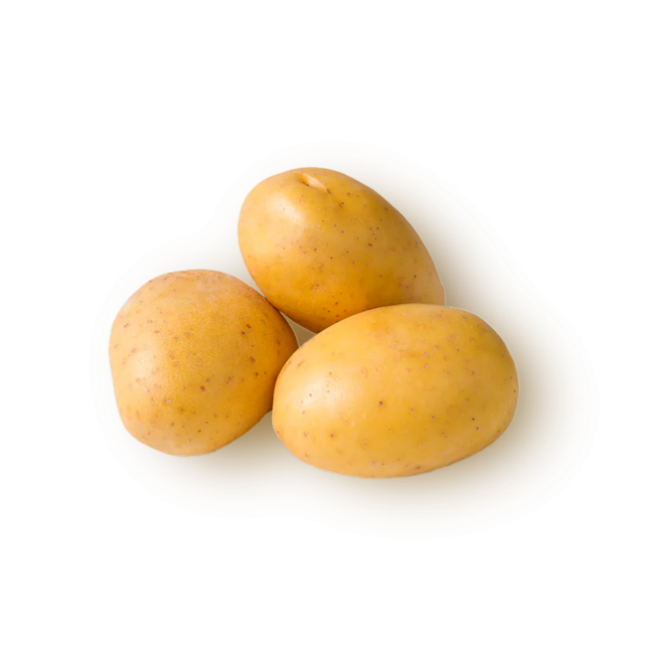 yellow potatoes