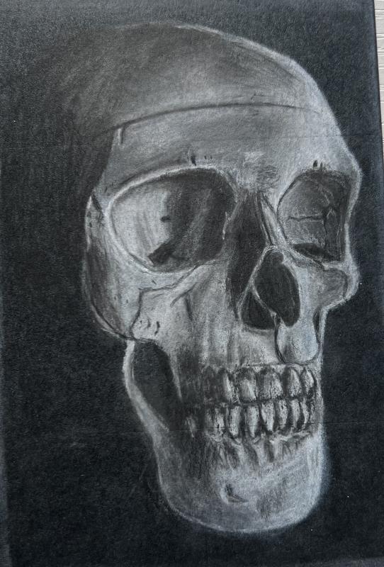  The image shows a detailed, monochromatic drawing of a human skull. The skull is depicted with realistic shading and highlights, emphasizing the contours and structure of the bones.