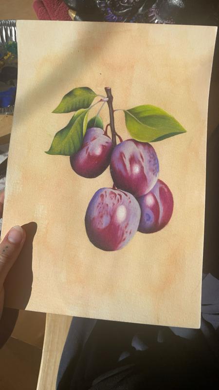 A cluster of plums hanging from a branch with green leaves. The plums are depicted in rich shades of purple and blue, with highlights that give them a glossy appearance.