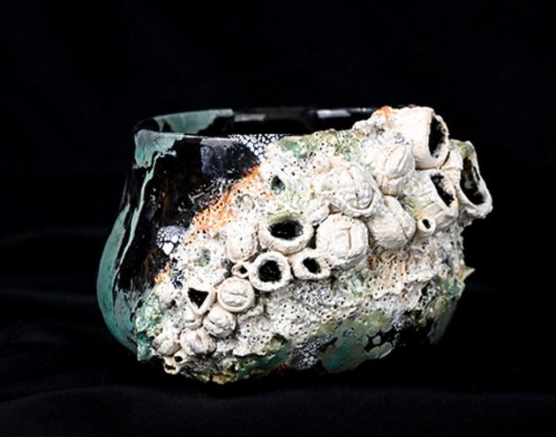 The bowl has a black base color with green and white accents, featuring clusters of white, textured formations that mimic the appearance of barnacles or coral.