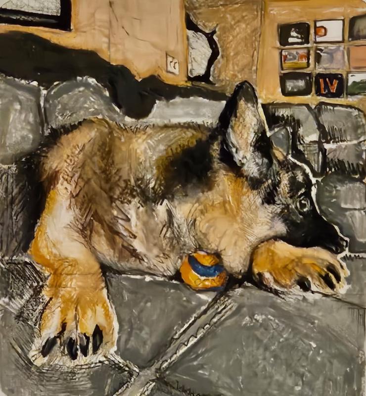 A German Shepherd dog lying on a couch with a yellow and blue ball under its chin