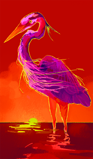 A digital painting of a regal blue heron with vibrant purple and a bright orange sunset