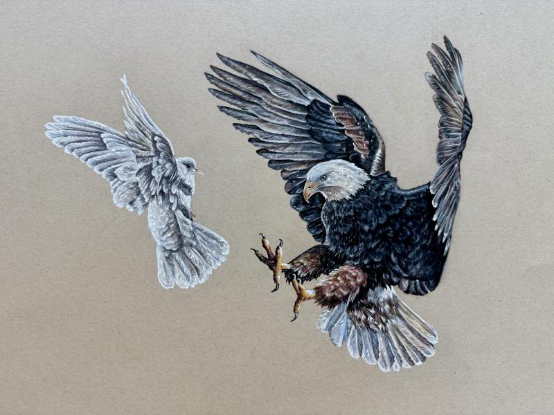 Colored pencil drawing of an eagle and a dove