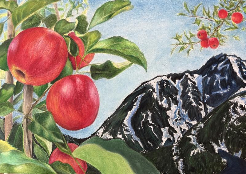 Close up of red apples on a leafy branch with snowy mountains in the background.