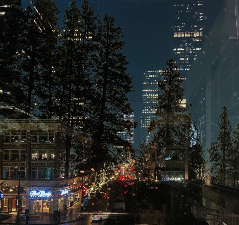 "Shadows of a forest" is a double exposure of silhouettes of the evergreen trees over city of Seattle. I want to convey the impact that urbanization has had on our connection with nature.