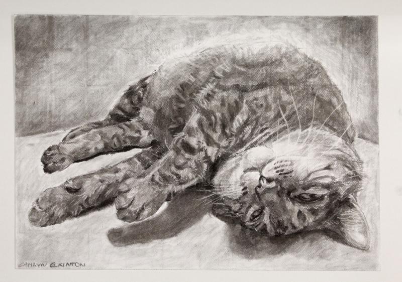 A portrait of a cat named Belle, created using charcoal on paper. Tackles the challenge of creating shading and texture to portray fur.