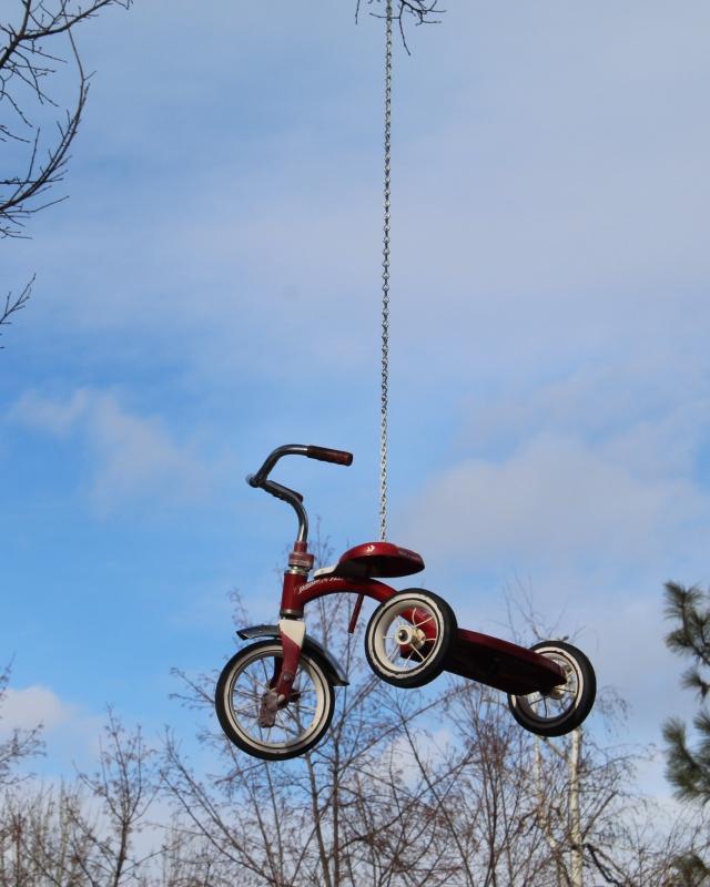 "Radio Flyer" is a photo of a cherry red radio flyer tricycle hanging from a chain on a tree. It is illuminated by the blue background of the sky, and the photo bottom is fringed by trees.