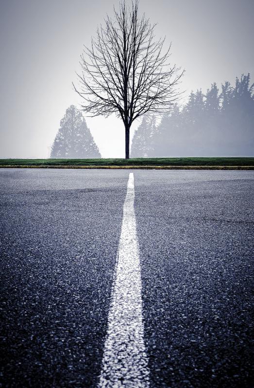 "Divergent" Photograph of a road line aligned with a tree