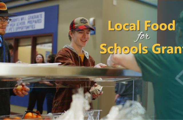 Expanding Mentorship Opportunities in School Meals graphic
