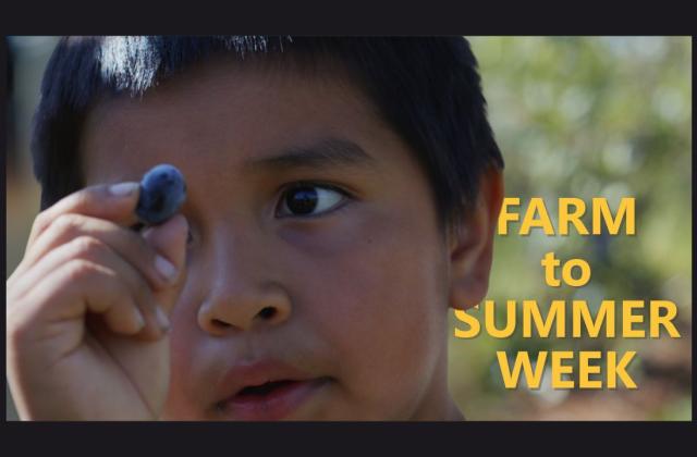 Farm to summer week graphic